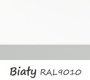 Biały (RAL 9010)